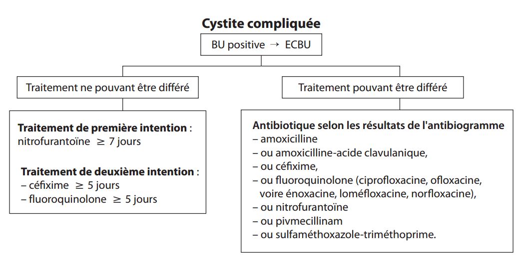 Image présentant le cas de la cystite compliquée