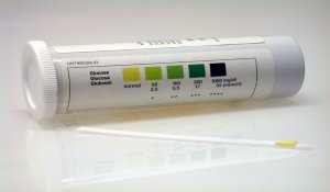 Urine de chat infecté par la cystite